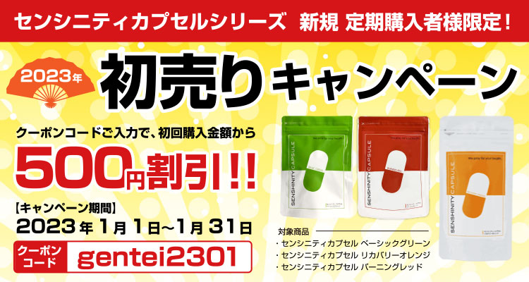 2023年初売りキャンペーン