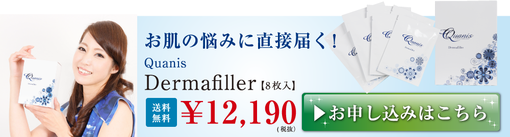 クオニス アイニードル お肌の悩みに直接届く！クオニスダーマフィラー Quanis Dermafiller ¥12,800 送料無料 お申し込みはこちら