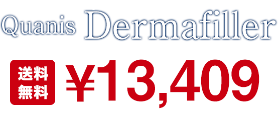 アイニードル クオニスダーマフィラー Quanis Dermafiller ¥12,800 送料無料