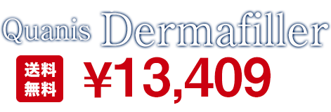 アイニードル クオニスダーマフィラー Quanis Dermafiller ¥12,800 送料無料