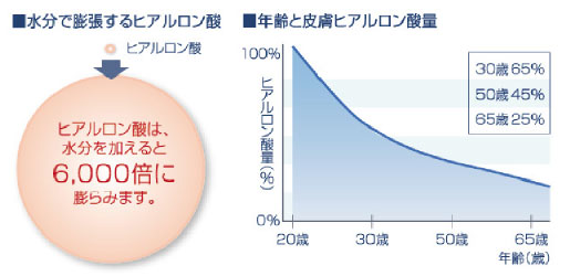 保水効果の高いヒアルロン酸